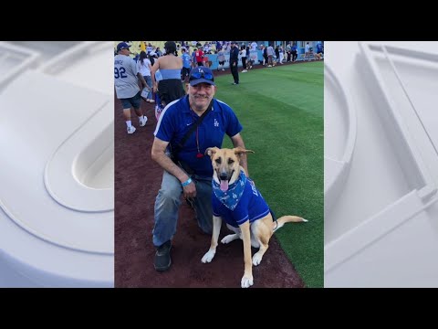 Dog named &#039;Dodger&#039; steals the show after snagging home run ball in Spring Training