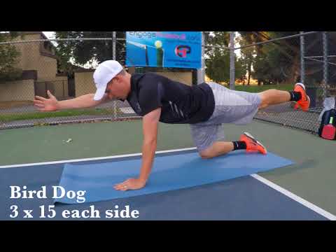 The Pickleball Doctor - Strength and Conditioning